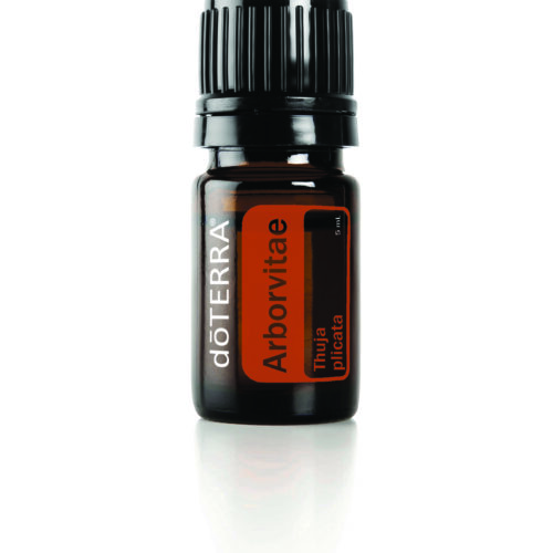Arborvitae 5mL