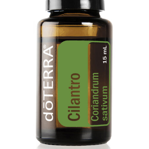 Cilantro 15mL