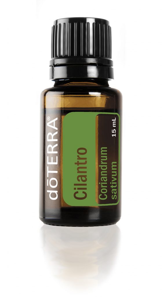Cilantro 15mL