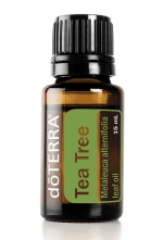 Tea Tree (Melaleuca) 15mL
