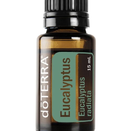 Eucalyptus 15ml