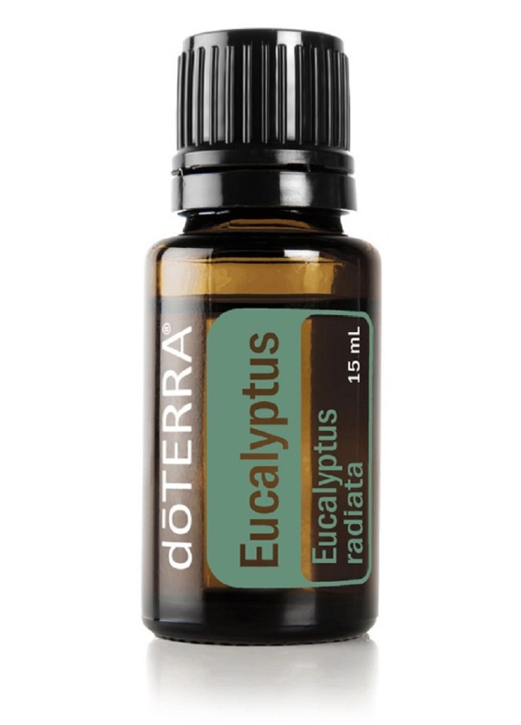 Eucalyptus 15ml
