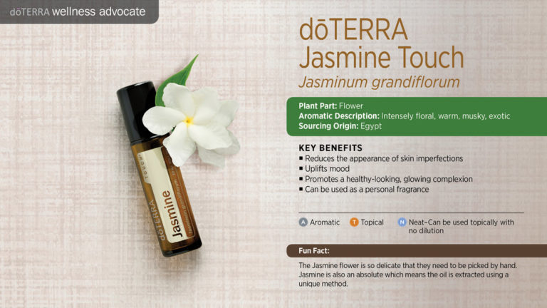 Jasmine Touch 10mL - Image 3