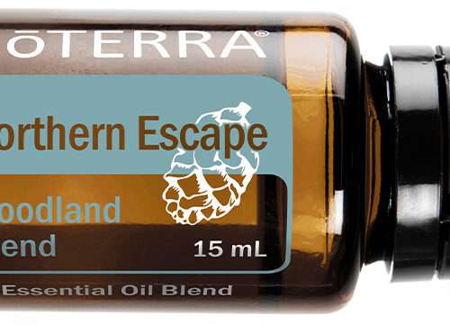 Northern Escape 15mL