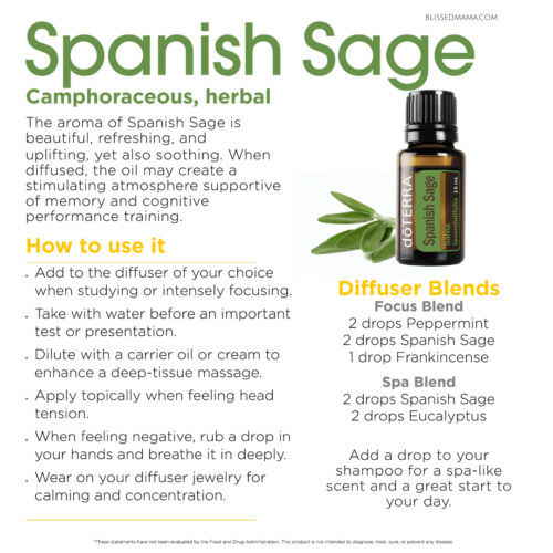 Spanish Sage Oil