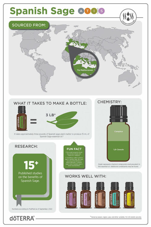 Spanish Sage Oil