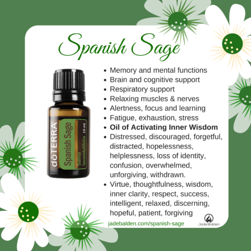 dōTERRA Spanish Sage Oil